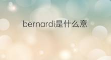 bernardi是什么意思 bernardi的中文翻译、读音、例句