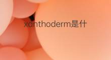 xanthoderm是什么意思 xanthoderm的中文翻译、读音、例句