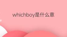 whichboy是什么意思 whichboy的中文翻译、读音、例句