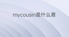 mycousin是什么意思 mycousin的中文翻译、读音、例句