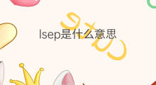 lsep是什么意思 lsep的中文翻译、读音、例句