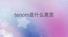 tenom是什么意思 tenom的中文翻译、读音、例句