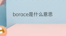 borace是什么意思 borace的中文翻译、读音、例句