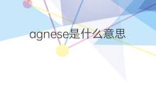 agnese是什么意思 agnese的中文翻译、读音、例句