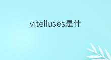 vitelluses是什么意思 vitelluses的中文翻译、读音、例句