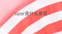 siper是什么意思 siper的中文翻译、读音、例句