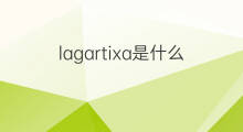 lagartixa是什么意思 lagartixa的中文翻译、读音、例句