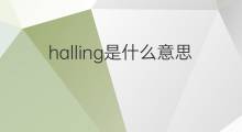 halling是什么意思 halling的中文翻译、读音、例句