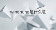 windhund是什么意思 windhund的中文翻译、读音、例句
