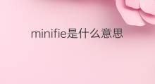 minifie是什么意思 minifie的中文翻译、读音、例句