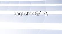 dogfishes是什么意思 dogfishes的中文翻译、读音、例句