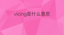 vicing是什么意思 vicing的中文翻译、读音、例句
