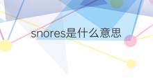 snores是什么意思 snores的中文翻译、读音、例句