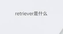 retriever是什么意思 retriever的中文翻译、读音、例句