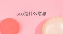 sco是什么意思 sco的中文翻译、读音、例句