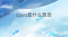 cavo是什么意思 cavo的中文翻译、读音、例句