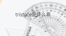 tristate是什么意思 tristate的中文翻译、读音、例句