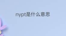nypt是什么意思 nypt的中文翻译、读音、例句