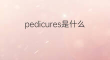 pedicures是什么意思 pedicures的中文翻译、读音、例句