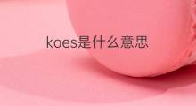 koes是什么意思 koes的中文翻译、读音、例句