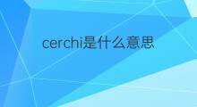 cerchi是什么意思 cerchi的中文翻译、读音、例句