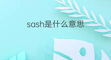 sash是什么意思 sash的中文翻译、读音、例句