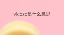 vicosa是什么意思 vicosa的中文翻译、读音、例句
