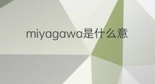 miyagawa是什么意思 miyagawa的中文翻译、读音、例句