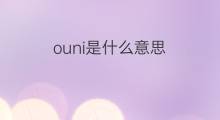 ouni是什么意思 ouni的中文翻译、读音、例句