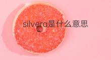 silvera是什么意思 silvera的中文翻译、读音、例句