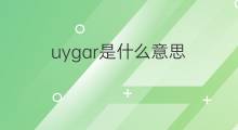 uygar是什么意思 uygar的中文翻译、读音、例句