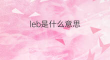 leb是什么意思 leb的中文翻译、读音、例句