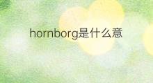 hornborg是什么意思 hornborg的中文翻译、读音、例句