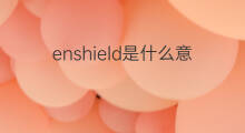 enshield是什么意思 enshield的中文翻译、读音、例句