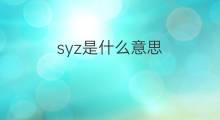 syz是什么意思 syz的中文翻译、读音、例句