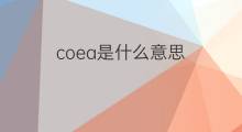 coea是什么意思 coea的中文翻译、读音、例句
