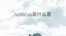 rusticus是什么意思 rusticus的中文翻译、读音、例句