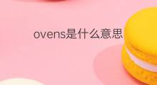 ovens是什么意思 ovens的中文翻译、读音、例句