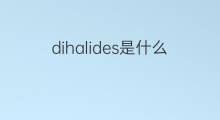 dihalides是什么意思 dihalides的中文翻译、读音、例句