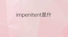 impenitent是什么意思 impenitent的中文翻译、读音、例句
