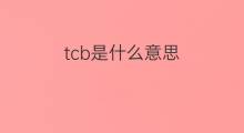 tcb是什么意思 tcb的中文翻译、读音、例句