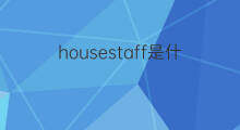 housestaff是什么意思 housestaff的中文翻译、读音、例句