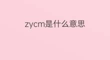 zycm是什么意思 zycm的中文翻译、读音、例句