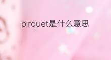 pirquet是什么意思 pirquet的中文翻译、读音、例句