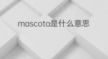 mascota是什么意思 mascota的中文翻译、读音、例句