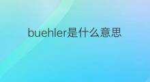 buehler是什么意思 英文名buehler的翻译、发音、来源