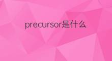 precursor是什么意思 precursor的中文翻译、读音、例句