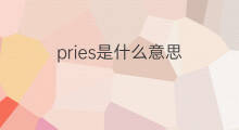 pries是什么意思 pries的中文翻译、读音、例句
