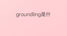 groundling是什么意思 groundling的中文翻译、读音、例句