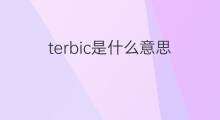 terbic是什么意思 terbic的中文翻译、读音、例句